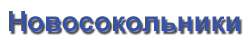 Новосокольники